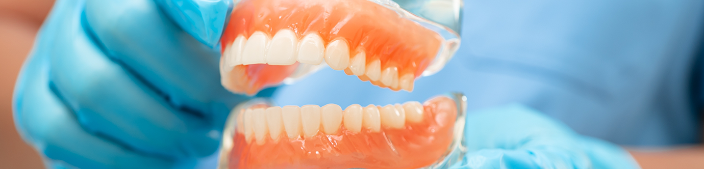 Dentist holding a model of dentures in Spring