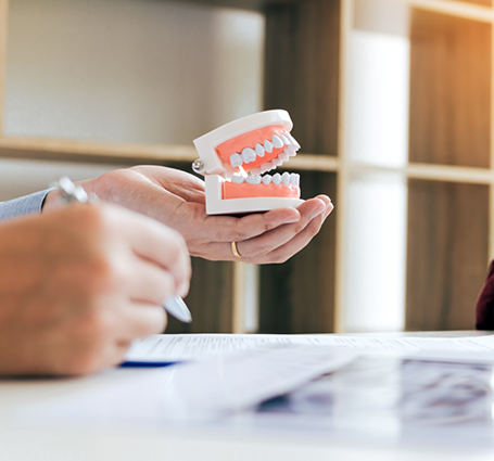 Person looking at paperwork while holding a model of dentures