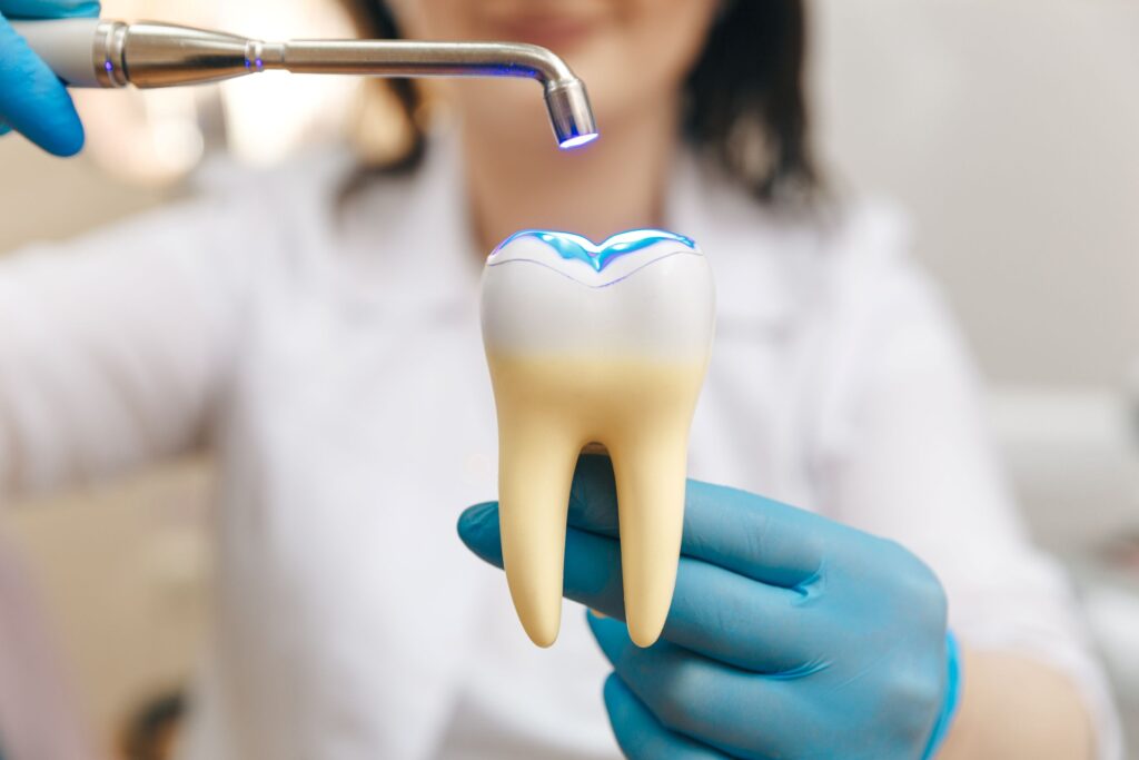 Dentist showing how dental fillings work on model tooth